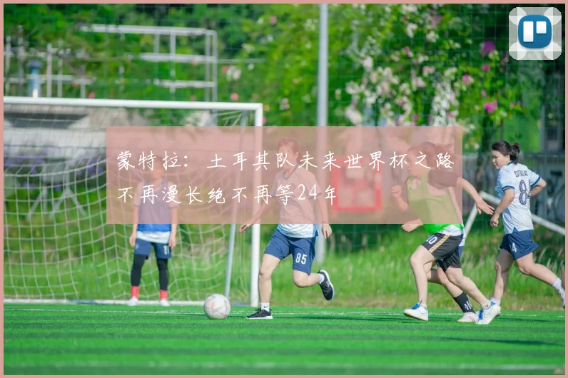 蒙特拉：土耳其队未来世界杯之路不再漫长绝不再等24年
