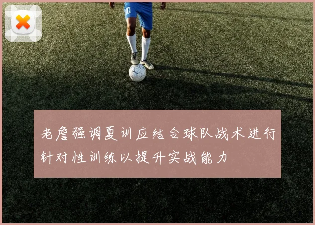老詹强调夏训应结合球队战术进行针对性训练以提升实战能力